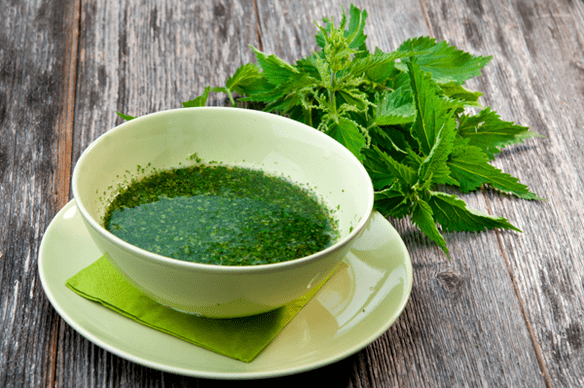 Nettle Follas Infusión - Remedios populares para a diabetes