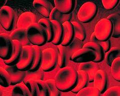 Recollida de corpos cetonos no sangue da diabetes